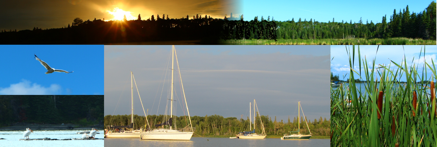 Slider Banner
